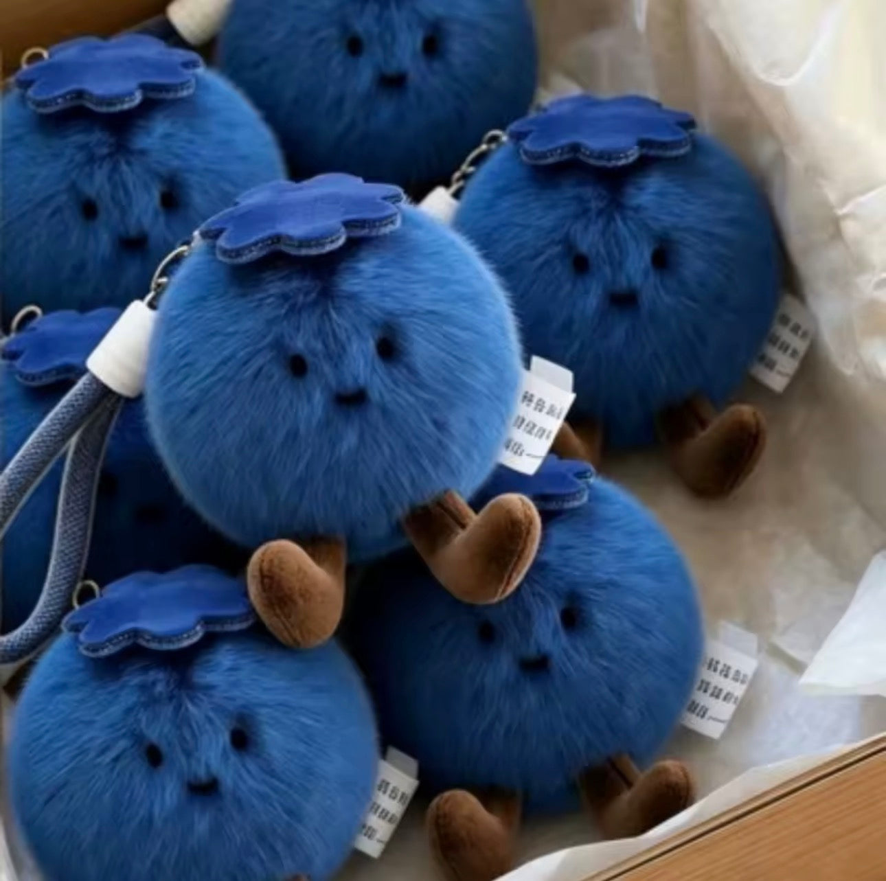 Lucky Blueberry Plush Keychain Cute 2 Pack